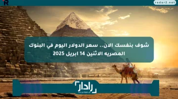 شوف بنفسك الآن.. سعر الدولار اليوم في البنوك المصرية الاثنين 14 أبريل 2025